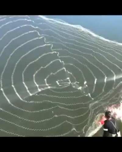 Тятя, тятя, кинь же сети, мы поймём мертвеца.