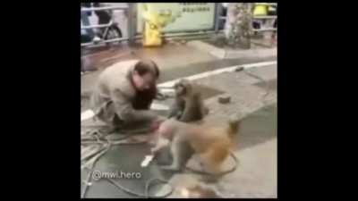 Monke got revenge