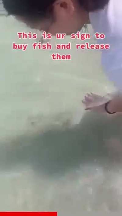 GRRRRRRRRR