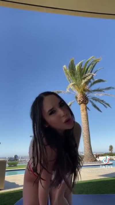 What an amazing palm tree…