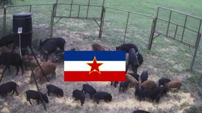 It’s a miracle that the Balkans stayed united as long as they did…until they didn’t