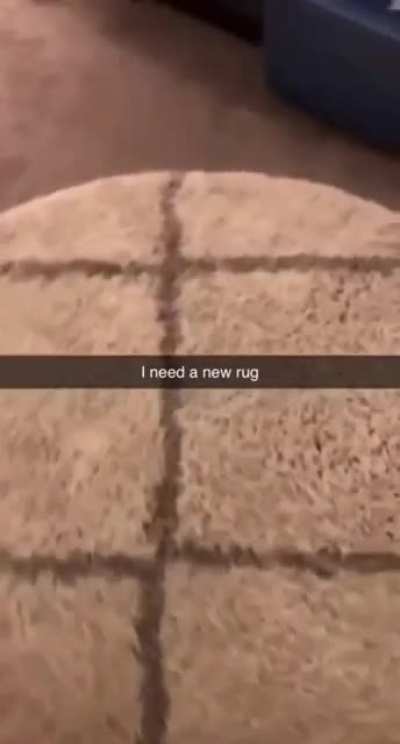 bug in the rug
