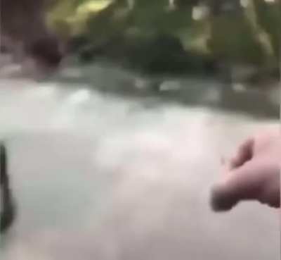 👌