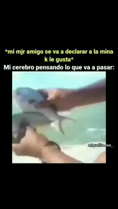 XD