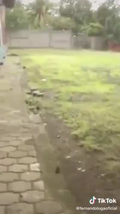 O chupa cu