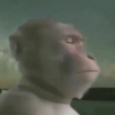 Average bruhfunniar