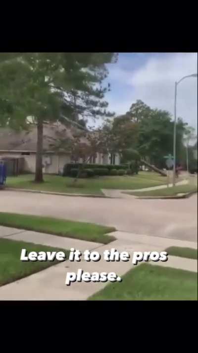 Tree meets roof