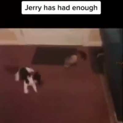 Big Boy Jerry
