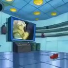 Plankton