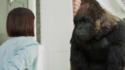 All gorilla glue ads but perfectly cut
