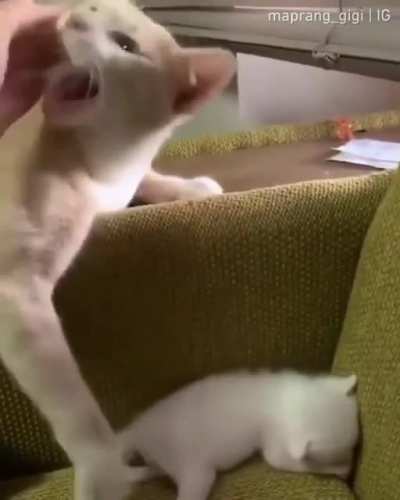Patting his baby