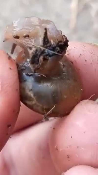 Is this dude okay?