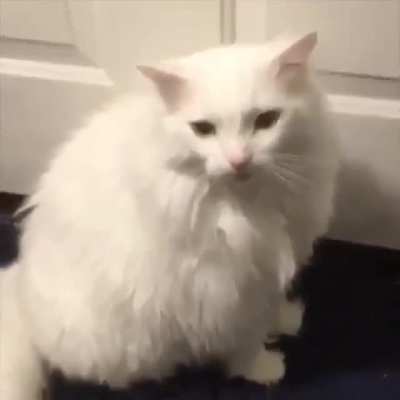 He won’t like it.