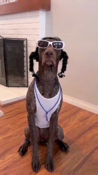 Snoop sound.