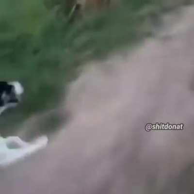 fofo(desculpa se for repost)