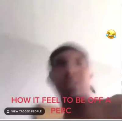Bruce after stream :