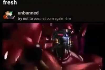Nobody can stop me from posting rat porn to discord