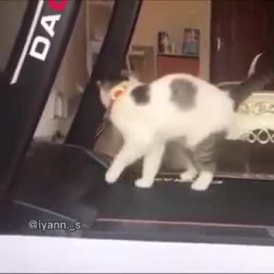 Pa Up vote kung natawa rin kayo hahahaha at the same time nakakaawa rin yung pusa XD