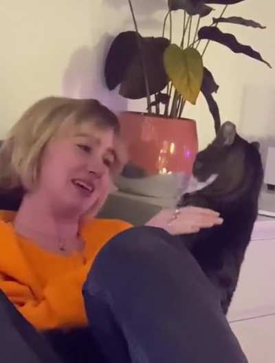 Attempted cat stroking