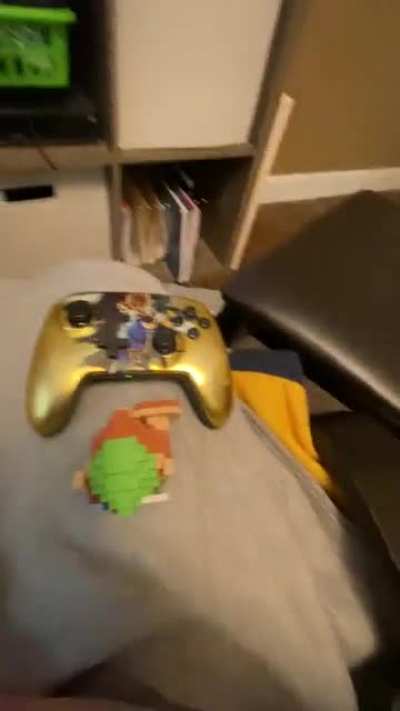 Link be playing minecraft