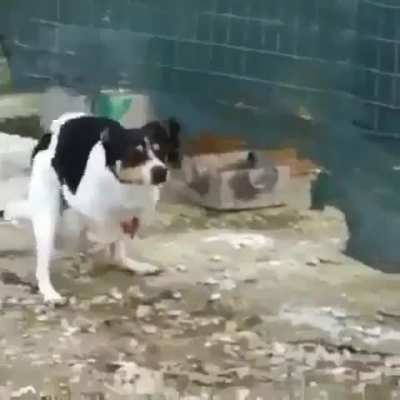 Video by hehe_m8