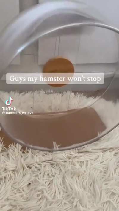 GUYS HELP