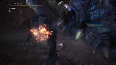 Since you love Evade Lance, another 60 second elemental breakdown against Ice Form today!