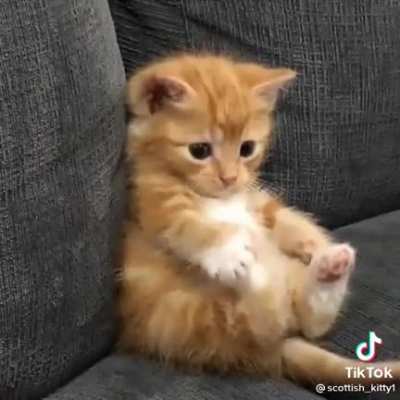 Awwww