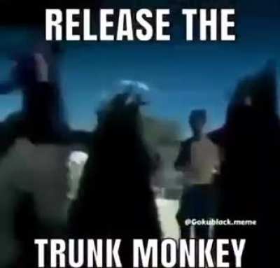Monke secs