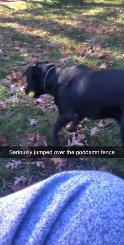 fuCKIN HE—