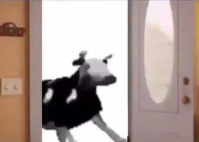 👁👄👁