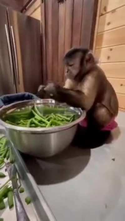 virou cozinheiro mané