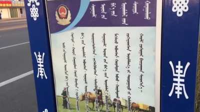 Xinjiang police computer hacked which exposes Muslim genocide in China.