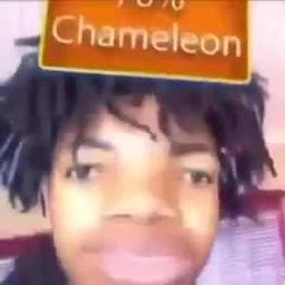 CHA-MA-LEON 🦎