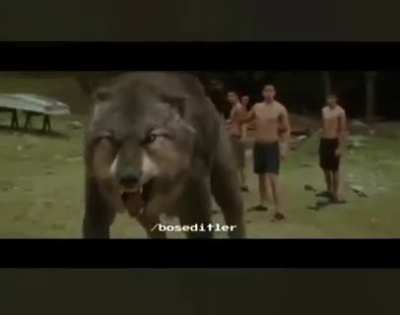 🐺