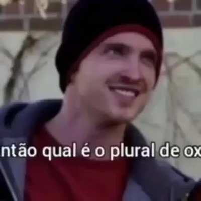 oxes