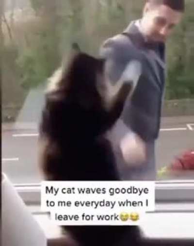 bye bye
