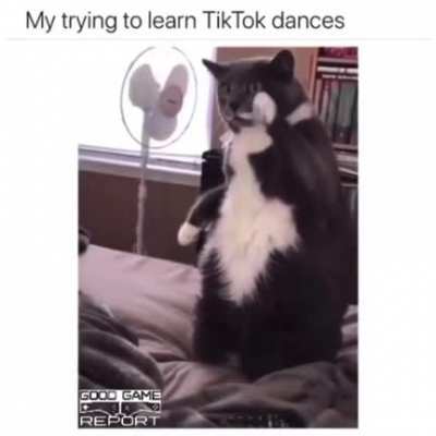 The moves
