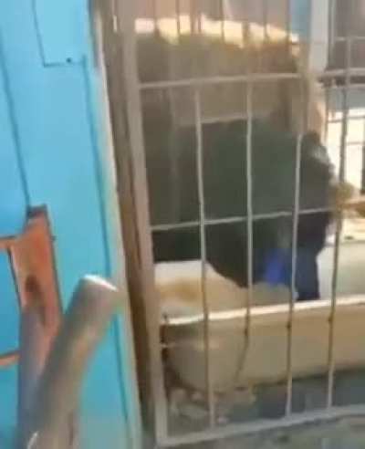 Она тебя сожрёт - 2