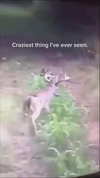 What was that ?