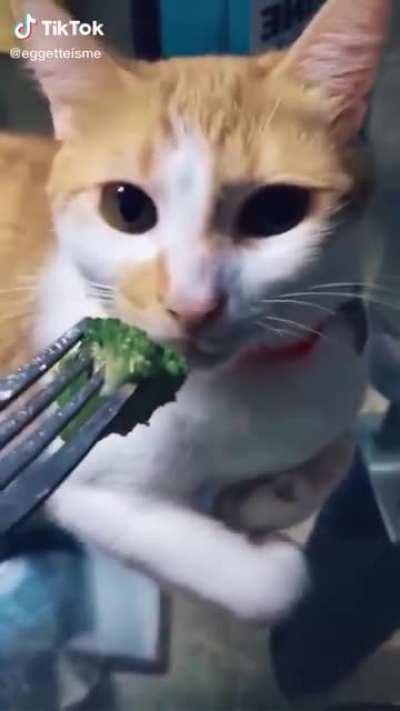 Broccoli