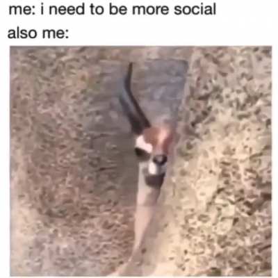 Uh, okay bye