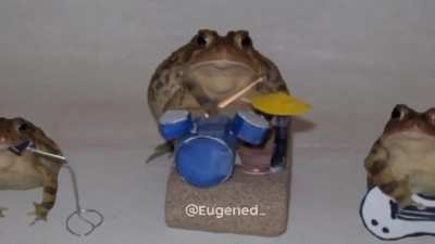 Banda de Sapo