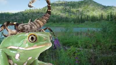 eu🐸nvr