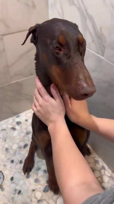 He's worth it