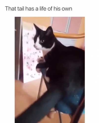Tail attack