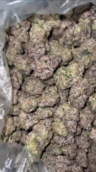 PINK MAMBA<wbr>🐍🍬🔥