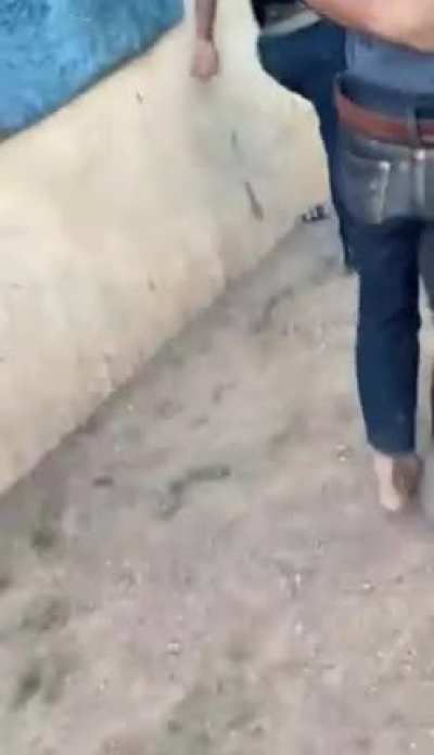 🕺🏼