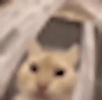 aAAAaa