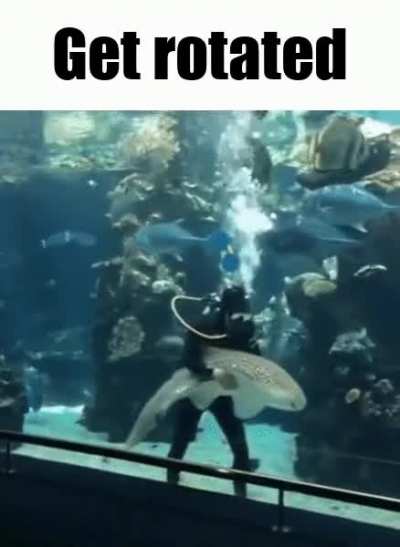 Idiot